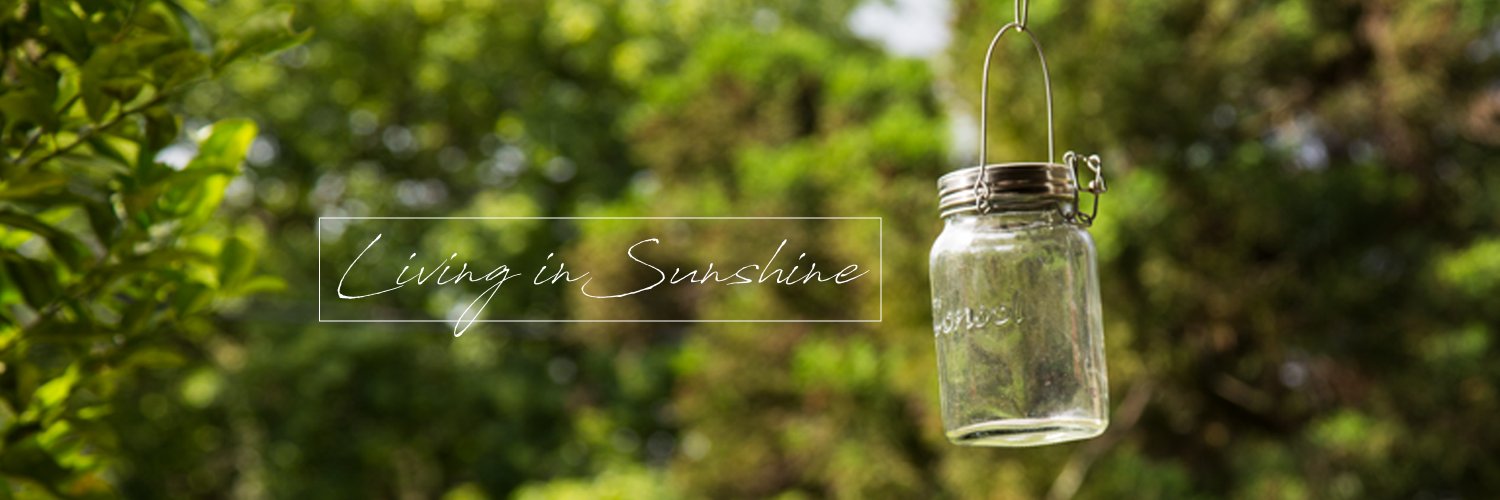Suntoyza's profile banner image
