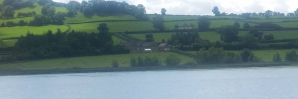 HelpYouGrow2021 Profile Banner