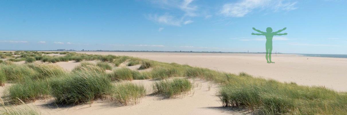 WindparkTexel's profile banner image