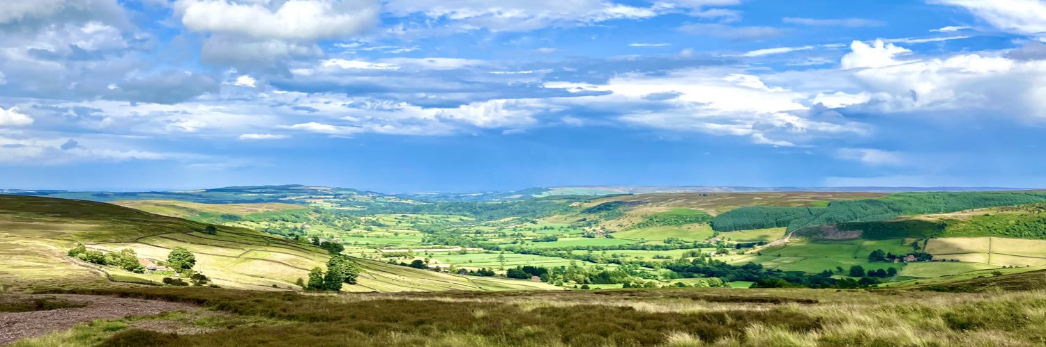 steve marsham banner