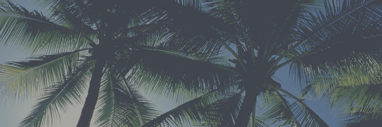 Annie Vovan banner