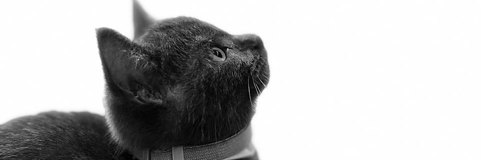 muhd_raz's profile banner image