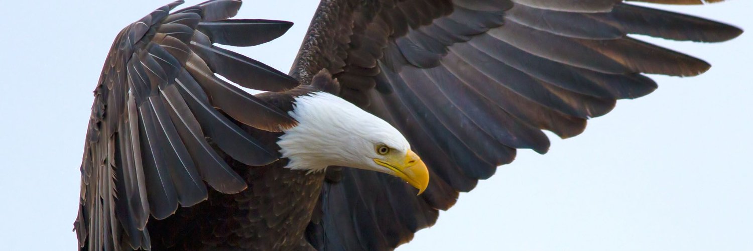 Obrendosouza's profile banner image