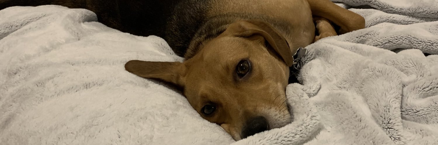 Kenz_Springer's profile banner image