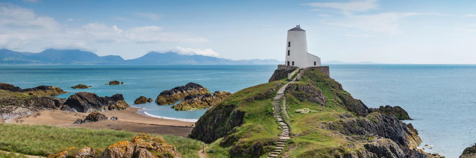 Fiona Sandom PhD banner