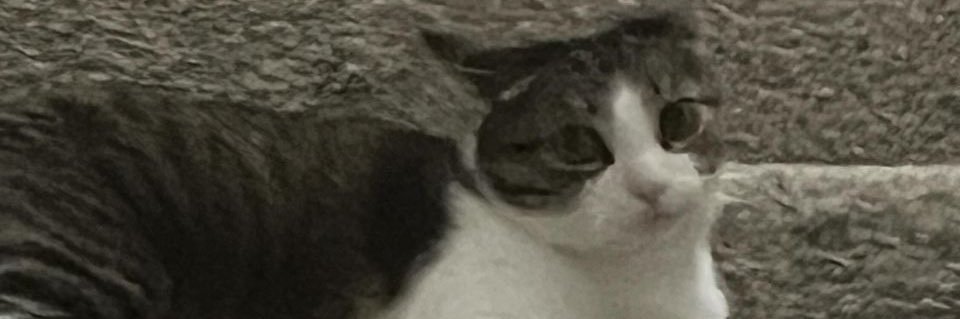 leslienalcala's profile banner image
