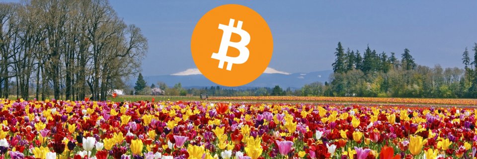 bitmahno's profile banner image