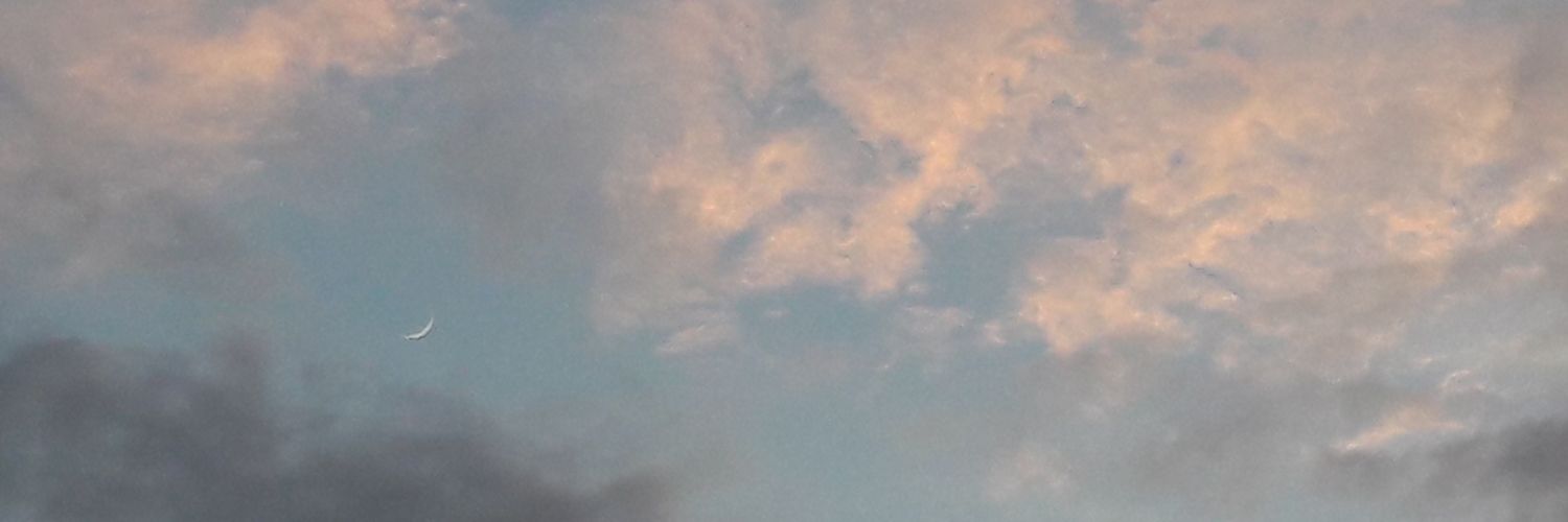InderRaheja's profile banner image