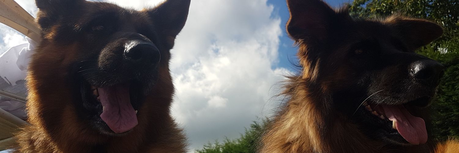 Almall_49's profile banner image