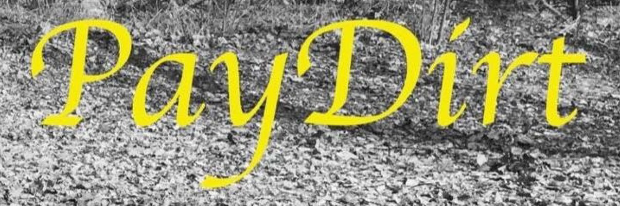 PayDirtSTL's profile banner image
