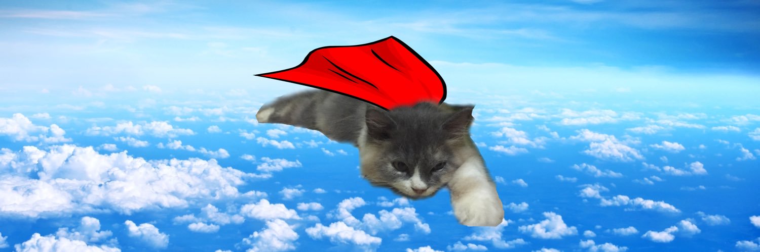 virafortuna's profile banner image