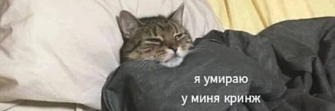 Мёрф banner