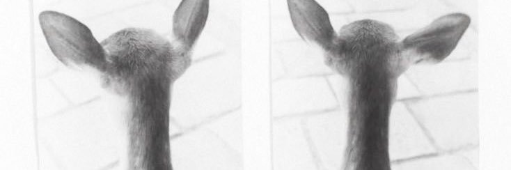 ‏ؘ banner
