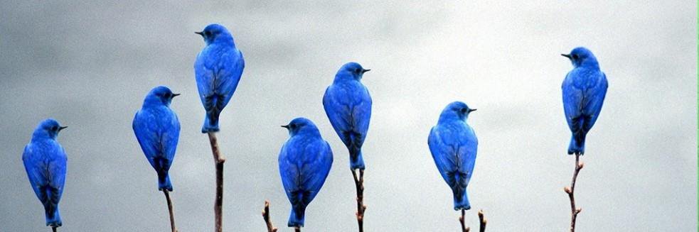 BerndGan's profile banner image