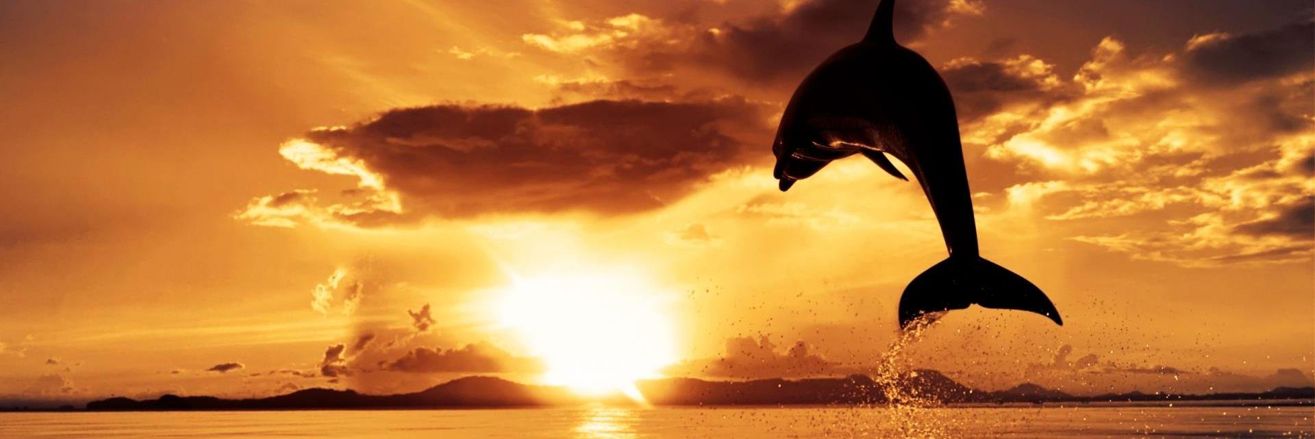 Taurusxs3Chaves's profile banner image