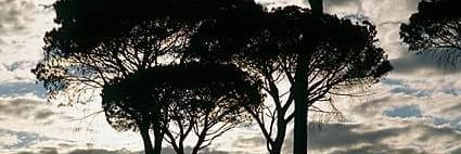 Lidia7macias's profile banner image