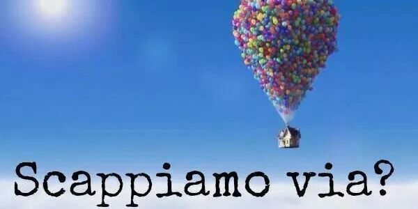 daniela de napoli banner
