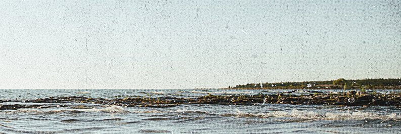 The Midway State banner