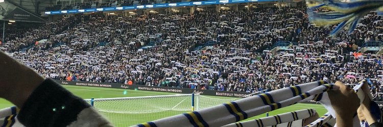 💙 Brad 💛 banner