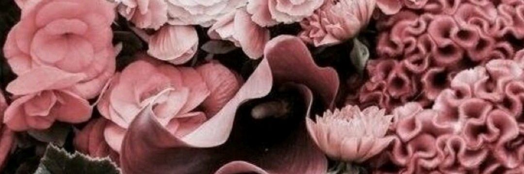 DesyDapi's profile banner image