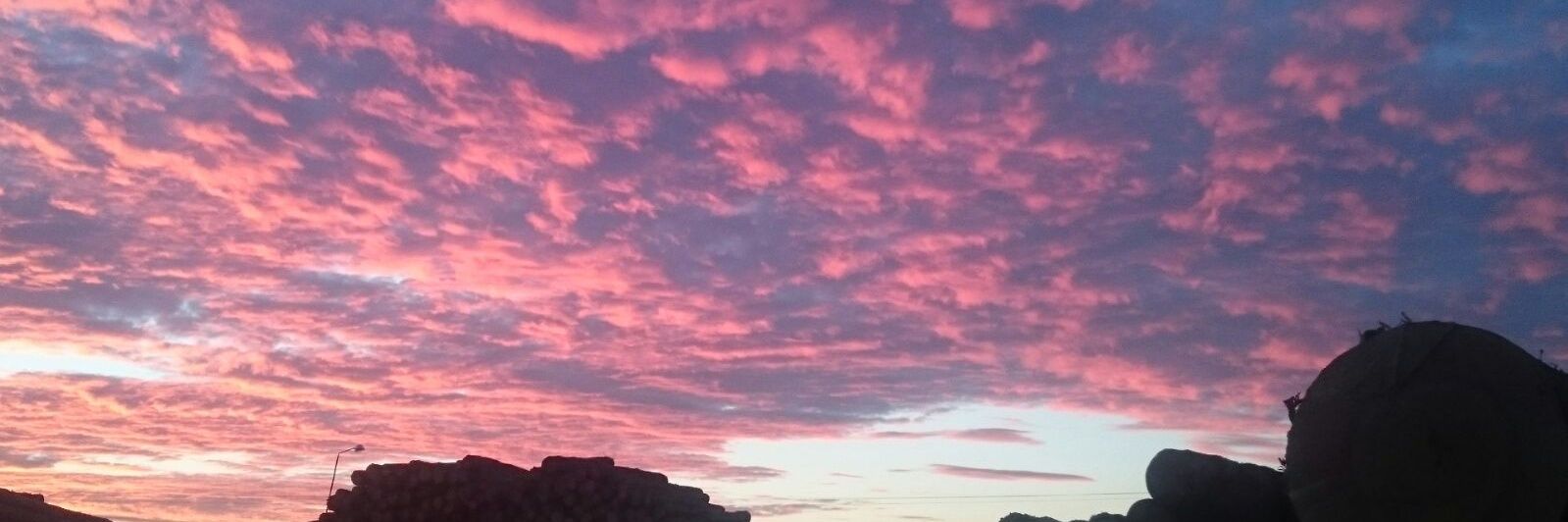 María José . banner