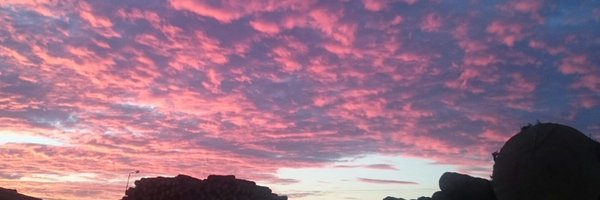 MariaJoseRoda Profile Banner