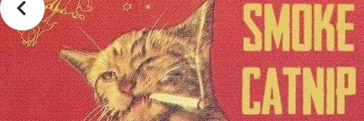 _Brunnys's profile banner image