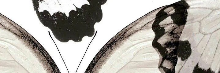 smhlei's profile banner image