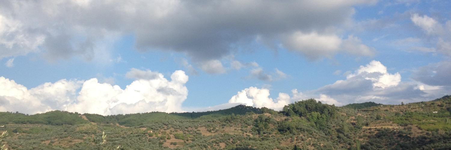 ozlembeyarslan's profile banner image