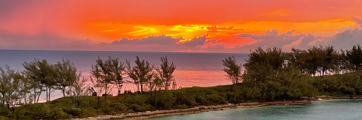 lee_petereit's profile banner image