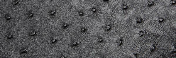 sarwanileather's profile banner image