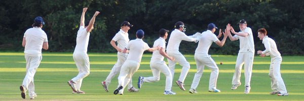 BushyParkCC Profile Banner