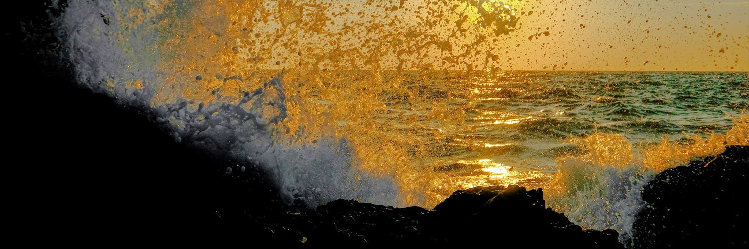 DenizSusan's profile banner image