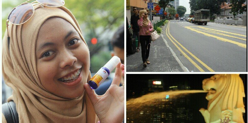 widi_wf's profile banner image