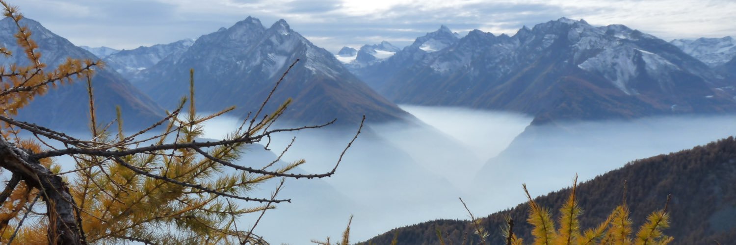 Cuoregrintapass's profile banner image