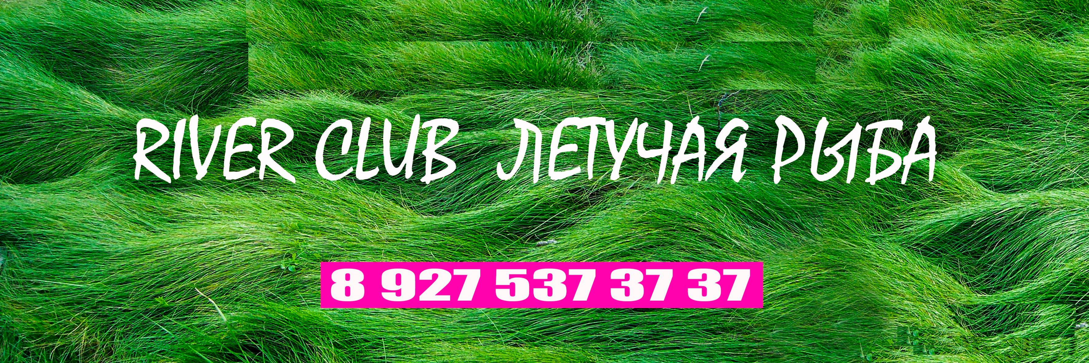 letryba's profile banner image