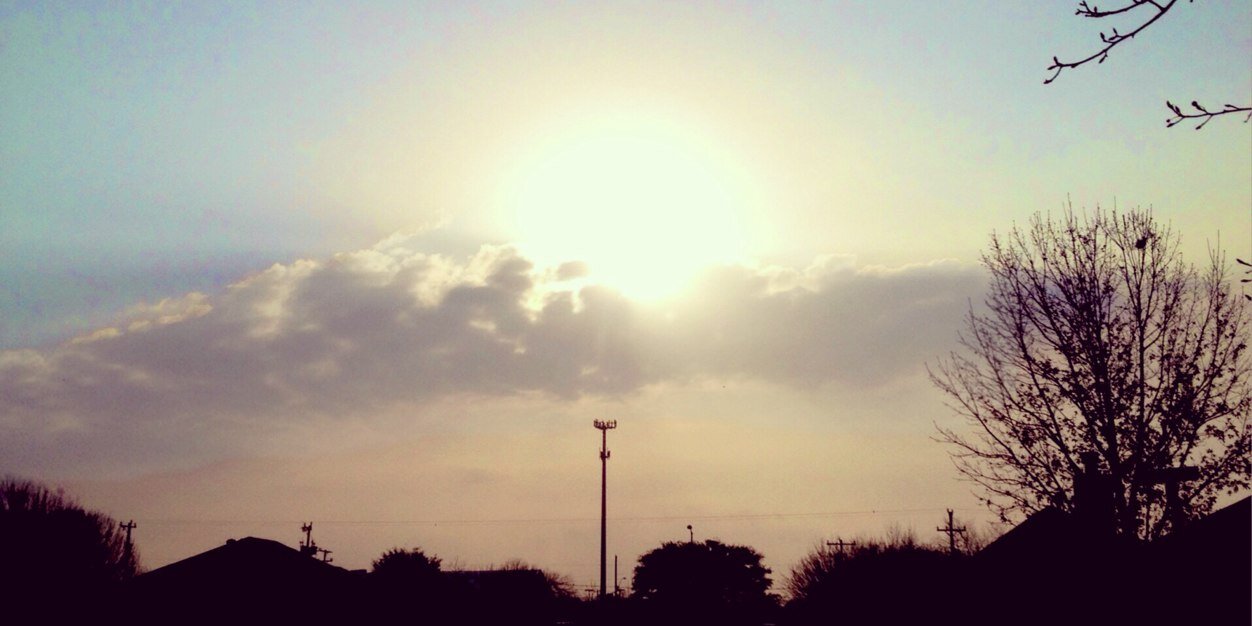 Priscilla_Wu643's profile banner image