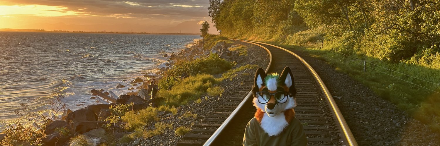 FallaTheFox's profile banner image