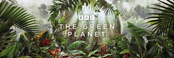 Benji Merrison banner