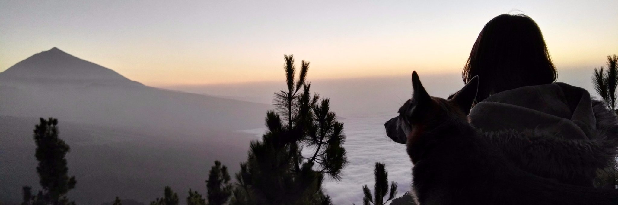 rynnoa's profile banner image
