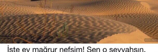 FAHRETTINALTIN's profile banner image