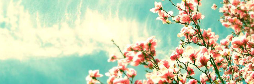 Su_Makkink's profile banner image