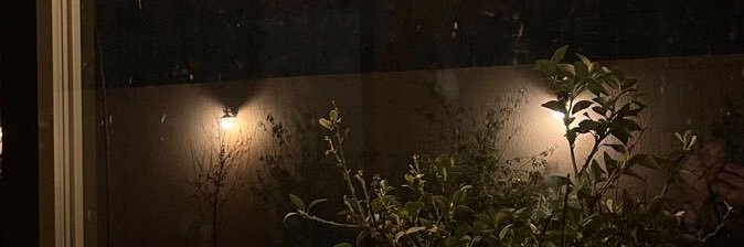 mut982's profile banner image