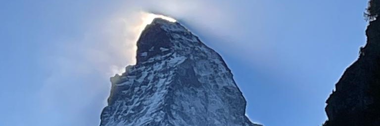 Hubert Mooser banner