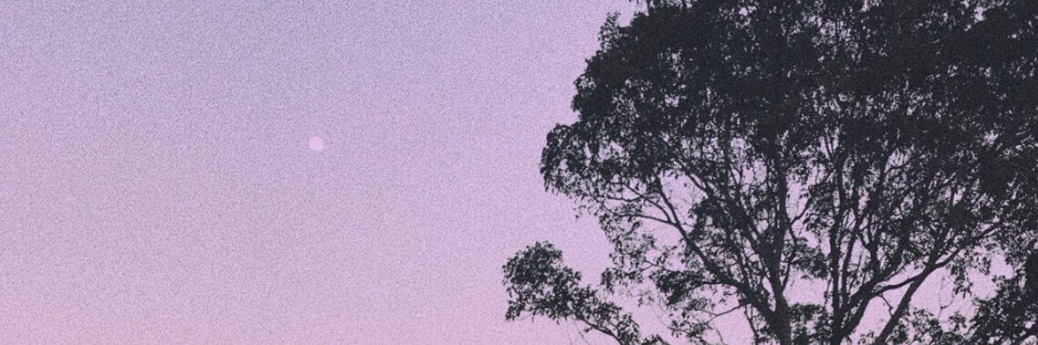 FerreFakee's profile banner image