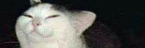 dn_nothing's profile banner image