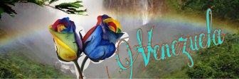 laxei's profile banner image