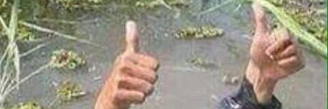 patwoerle's profile banner image