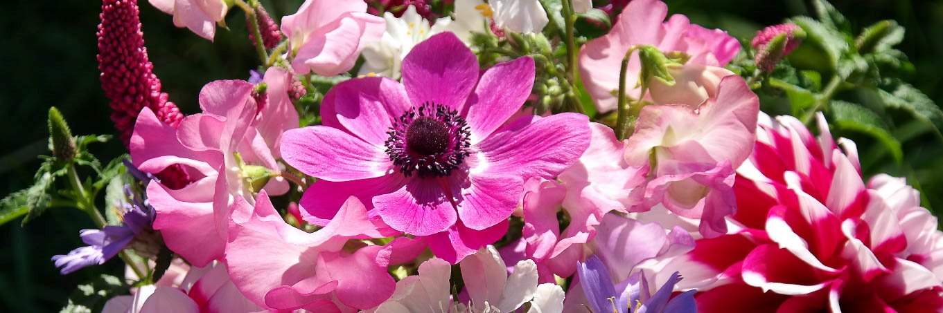 EdwValleyFlowers banner