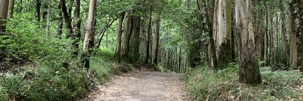 PatriciaACMA Profile Banner